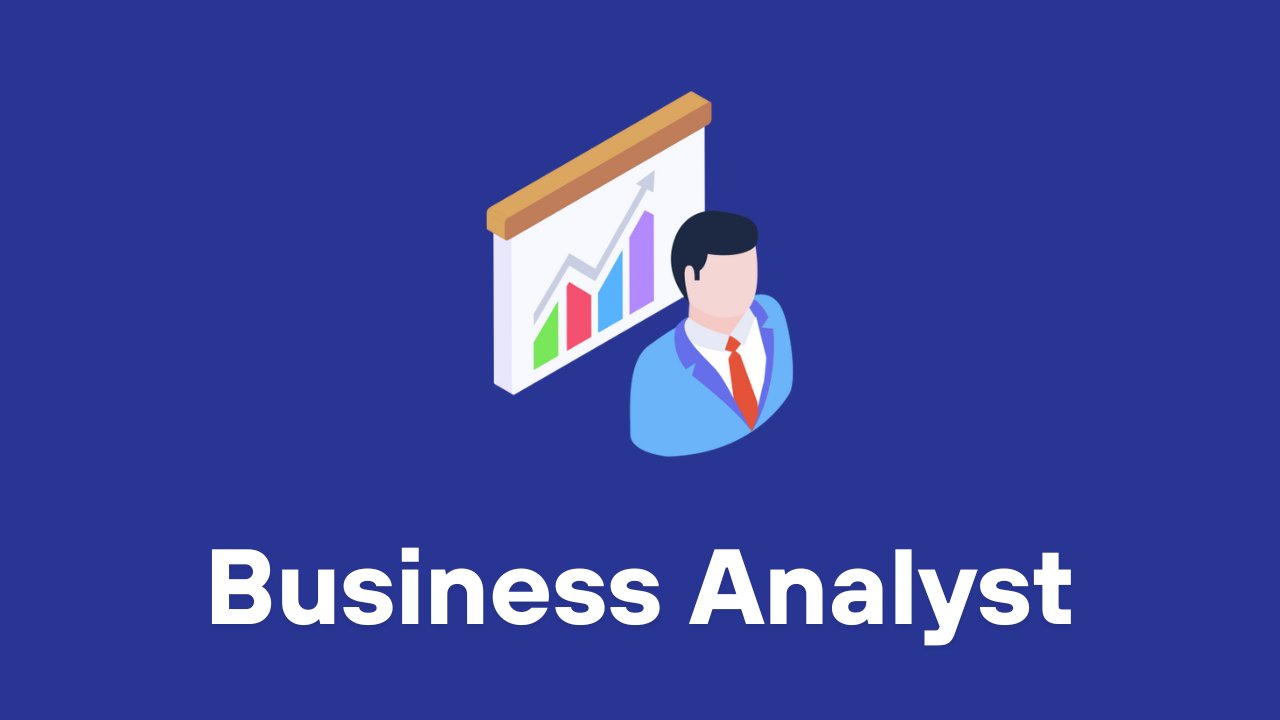 Business Analyst